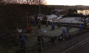 18 Memorial Christmas Trees in Penryn Memorial Gardens